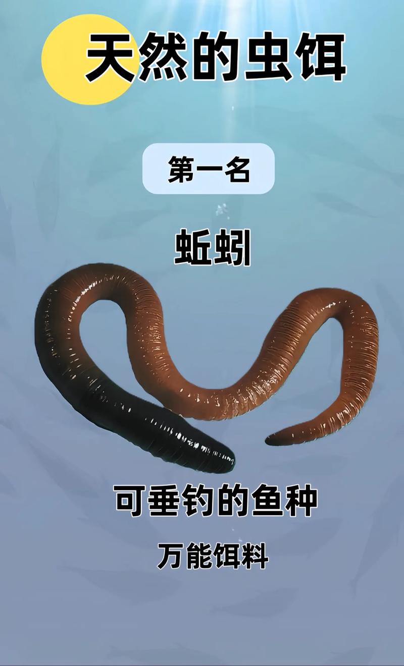鱼线